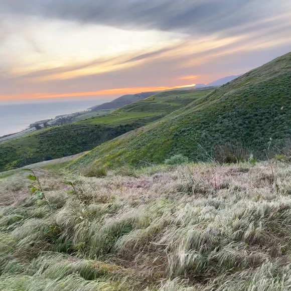 Meet your Posher, Lauren - Picture 2 of 3